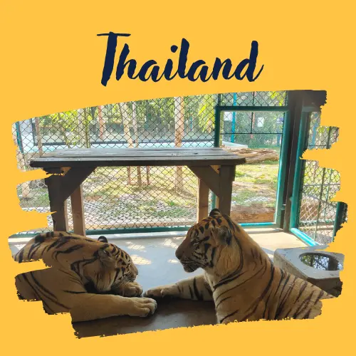 Amazing experience with Yuven Travel for my Thailand honeymoon trip...